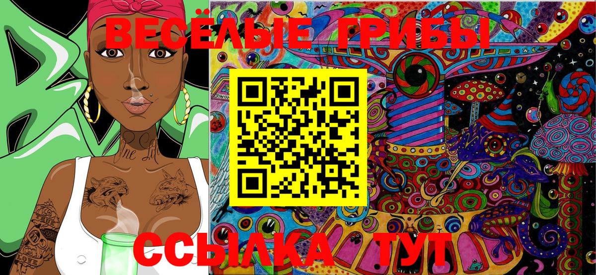 Лениногорск  купить  цена  Вход с VPN  Псилоцибиновые грибы Magic Shrooms 